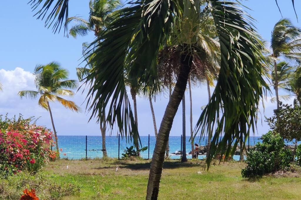 Parfum Des Iles - Vue Mer, Plage A 30M Et Piscine En Option Le Gosier  Eksteriør billede