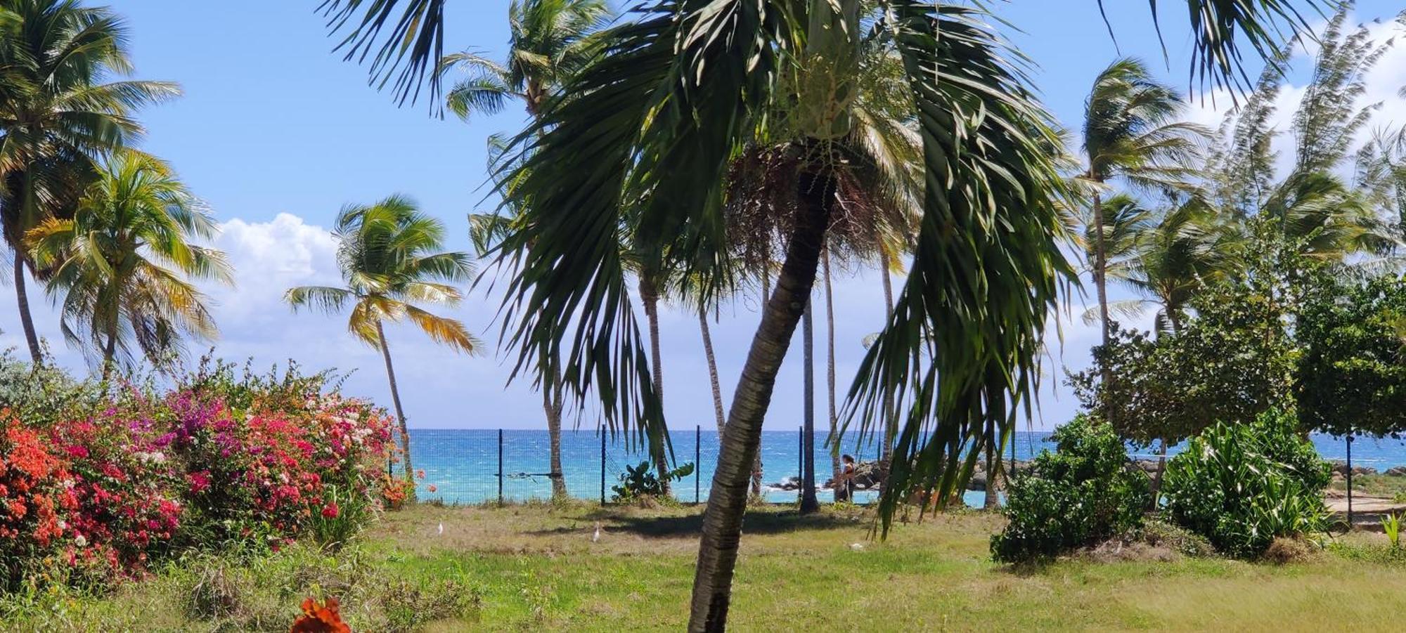 Parfum Des Iles - Vue Mer, Plage A 30M Et Piscine En Option Le Gosier  Eksteriør billede